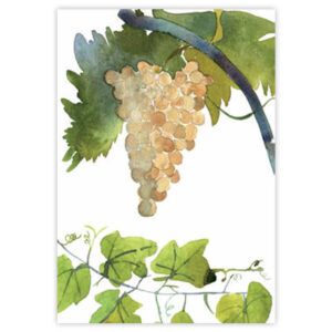 Strofinaccio-Grapes-1-La-Bottega-di-Casa