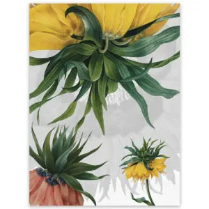 fritillaria-strofinccio-la-bottega-di-casa-1