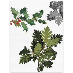 ilex-strofinccio-la-bottega-di-casa-4