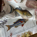 Striscia da tavola Coral Bay