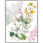 strofinaccio-sprinng-1-La-Bottega-di-Casa