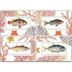tovagliette-coral-bay-La-Bottega-di-Casa
