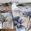 Tovaglie stampate per l’estate