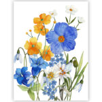 Strofinaccio Alpiflora 1