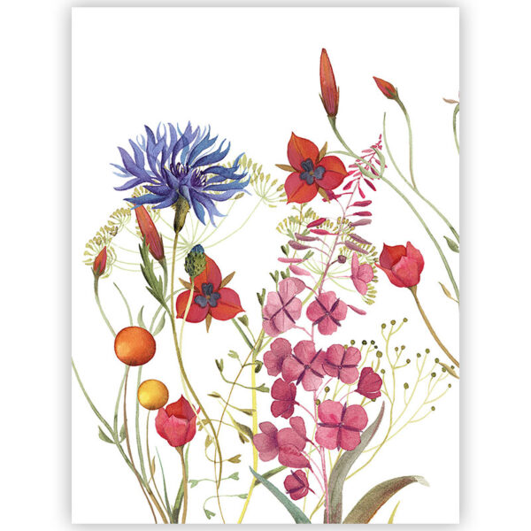 Strofinaccio Fiordaliso 1 - immagine 1