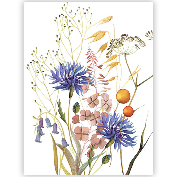 Strofinaccio Fiordaliso 2 - immagine 1