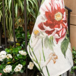 Strofinaccio Dafne 2