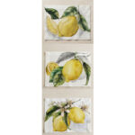 tovagliette con limoni