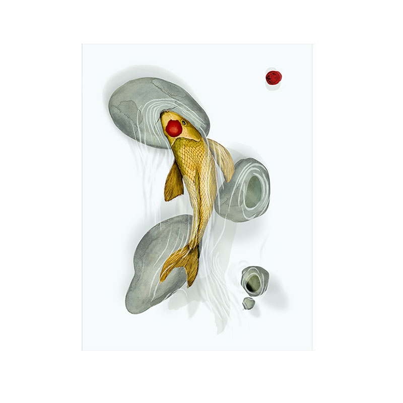 strofinaccio-carpe-4-la-bottega-di-casa Strofinaccio in lino e cotone con illustrazione ink wash di una carpa koi dorata tra ciottoli grigi su fondo bianco avorio. Punto rosso sul muso del pesce, sigillo rosso in alto a destra